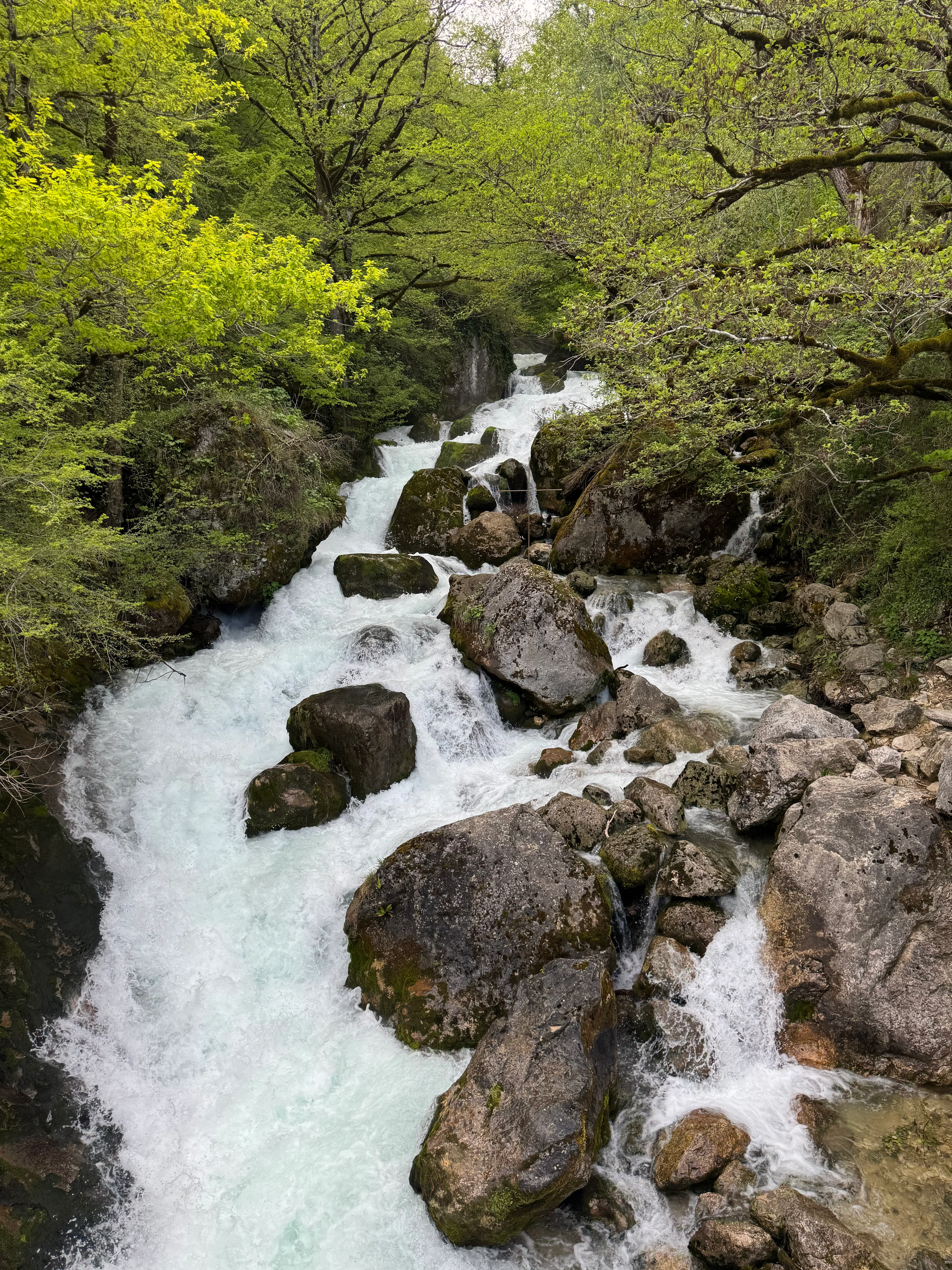 A small, wild river in the woods, heading towards the spectator downhill its rocky riverbed